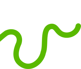 Decorative line